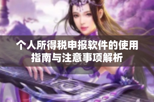 个人所得税申报软件的使用指南与注意事项解析