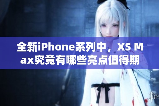 全新iPhone系列中，XS Max究竟有哪些亮点值得期待呢