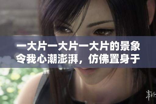 一大片一大片一大片的景象令我心潮澎湃，仿佛置身于繁盛之中。