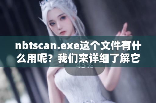 nbtscan.exe这个文件有什么用呢？我们来详细了解它的功能与作用。