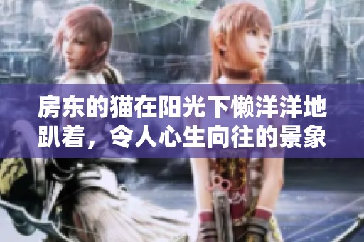 房东的猫在阳光下懒洋洋地趴着，令人心生向往的景象