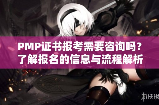 PMP证书报考需要咨询吗？了解报名的信息与流程解析