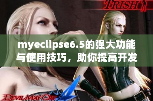 myeclipse6.5的强大功能与使用技巧，助你提高开发效率与体验