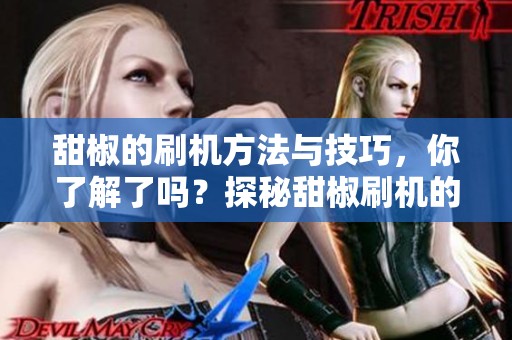 甜椒的刷机方法与技巧，你了解了吗？探秘甜椒刷机的全新体验。