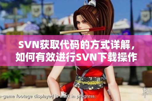 SVN获取代码的方式详解，如何有效进行SVN下载操作