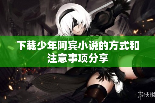 下载少年阿宾小说的方式和注意事项分享