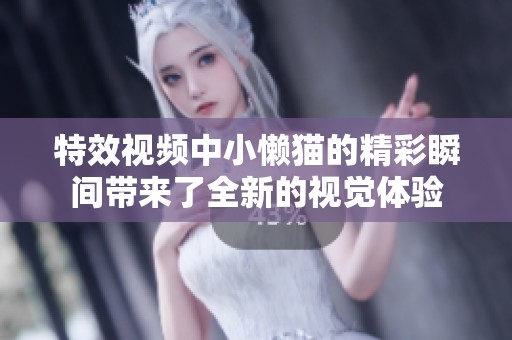 特效视频中小懒猫的精彩瞬间带来了全新的视觉体验
