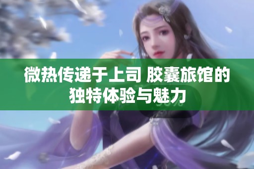 微热传递于上司 胶囊旅馆的独特体验与魅力