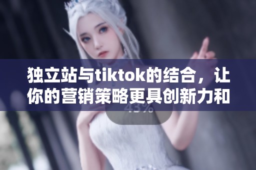 独立站与tiktok的结合，让你的营销策略更具创新力和吸引力