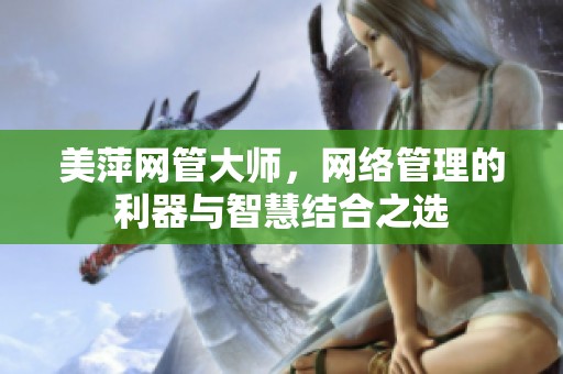 美萍网管大师，网络管理的利器与智慧结合之选