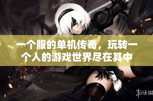 一个服的单机传奇，玩转一个人的游戏世界尽在其中