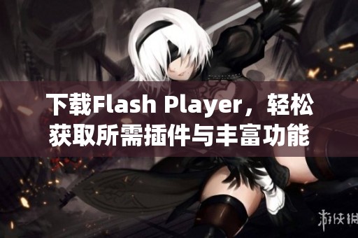下载Flash Player，轻松获取所需插件与丰富功能