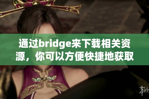 通过bridge来下载相关资源，你可以方便快捷地获取所需文件。