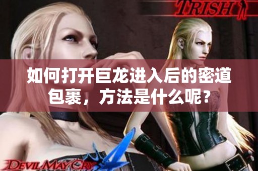 如何打开巨龙进入后的密道包裹，方法是什么呢？