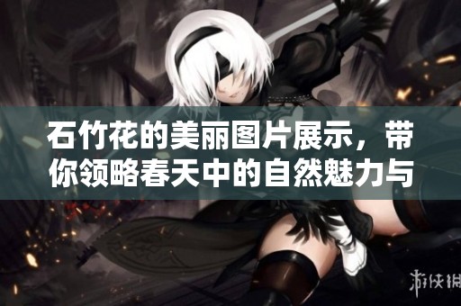 石竹花的美丽图片展示，带你领略春天中的自然魅力与色彩