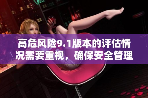 高危风险9.1版本的评估情况需要重视，确保安全管理措施到位