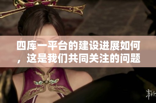 四库一平台的建设进展如何，这是我们共同关注的问题。期待其带来的更多便利与创新。
