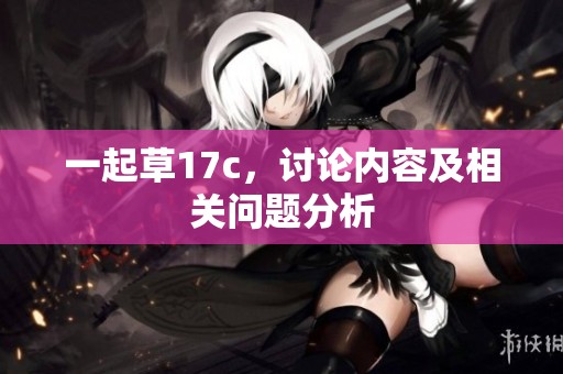 一起草17c，讨论内容及相关问题分析