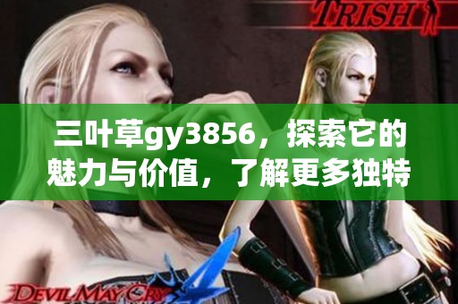 三叶草gy3856，探索它的魅力与价值，了解更多独特之处