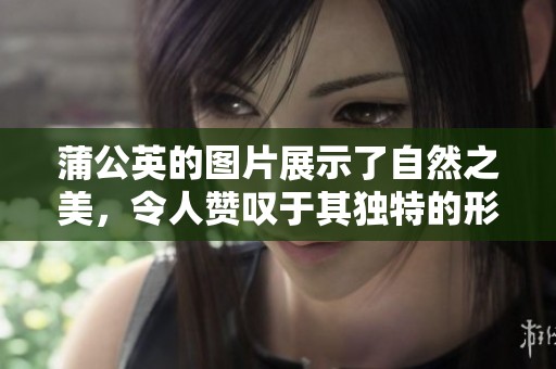 蒲公英的图片展示了自然之美，令人赞叹于其独特的形态与寓意