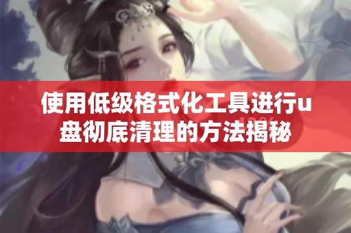 使用低级格式化工具进行u盘彻底清理的方法揭秘