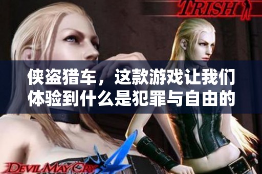 侠盗猎车，这款游戏让我们体验到什么是犯罪与自由的结合