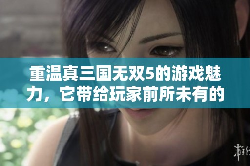 重温真三国无双5的游戏魅力，它带给玩家前所未有的体验与激情。