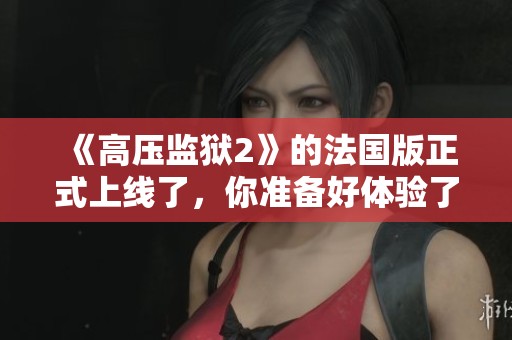 《高压监狱2》的法国版正式上线了，你准备好体验了吗？