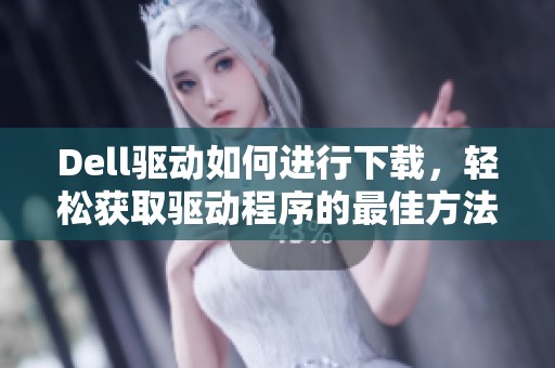 Dell驱动如何进行下载，轻松获取驱动程序的最佳方法