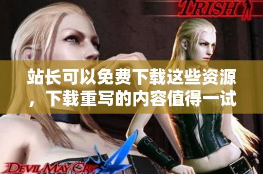 站长可以免费下载这些资源，下载重写的内容值得一试