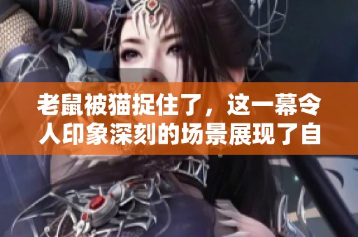 老鼠被猫捉住了，这一幕令人印象深刻的场景展现了自然的残酷与生存的法则