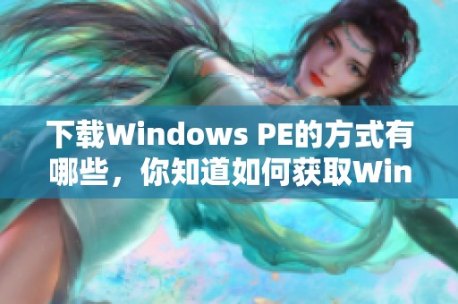 下载Windows PE的方式有哪些，你知道如何获取Windows PE吗？