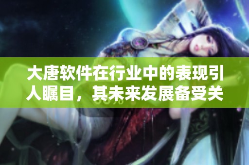 大唐软件在行业中的表现引人瞩目，其未来发展备受关注和期待