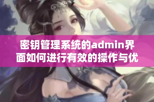 密钥管理系统的admin界面如何进行有效的操作与优化呢