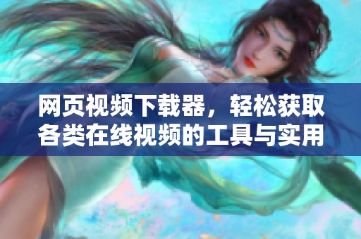 网页视频下载器，轻松获取各类在线视频的工具与实用方法
