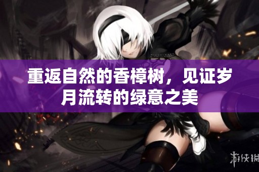 重返自然的香樟树，见证岁月流转的绿意之美