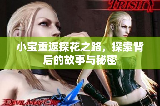 小宝重返探花之路，探索背后的故事与秘密
