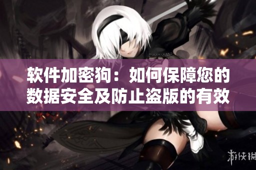 软件加密狗：如何保障您的数据安全及防止盗版的有效措施