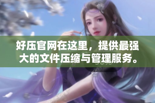 好压官网在这里，提供最强大的文件压缩与管理服务。