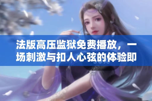 法版高压监狱免费播放，一场刺激与扣人心弦的体验即将开启