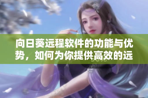 向日葵远程软件的功能与优势，如何为你提供高效的远程办公体验