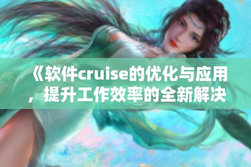 《软件cruise的优化与应用，提升工作效率的全新解决方案》