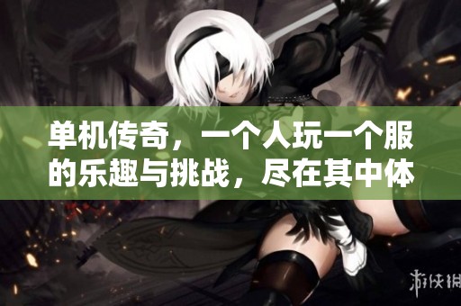 单机传奇，一个人玩一个服的乐趣与挑战，尽在其中体验无限可能