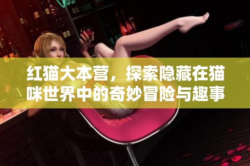 红猫大本营，探索隐藏在猫咪世界中的奇妙冒险与趣事！