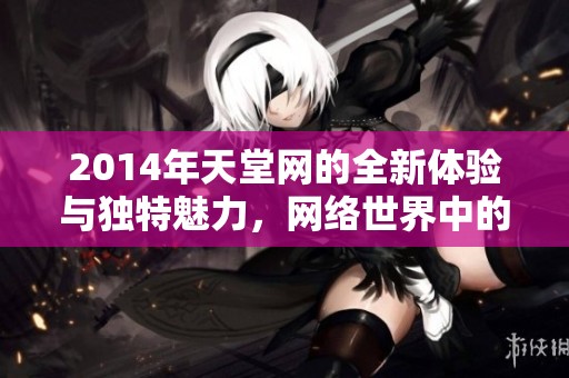 2014年天堂网的全新体验与独特魅力，网络世界中的一颗璀璨明珠