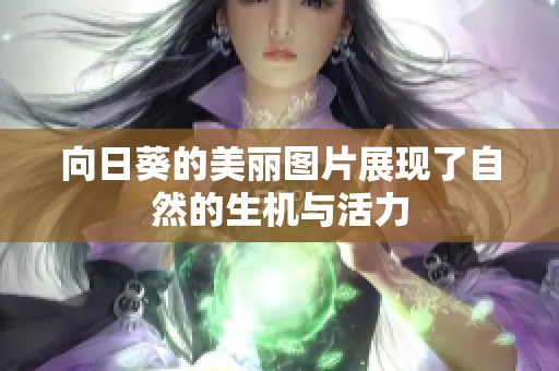 向日葵的美丽图片展现了自然的生机与活力