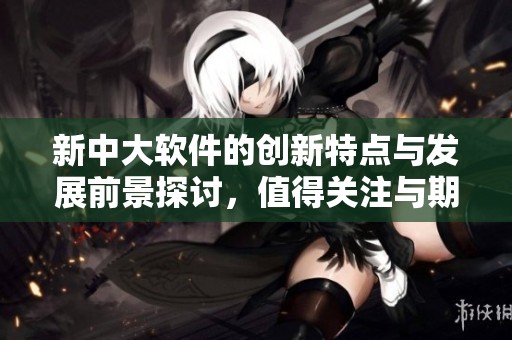 新中大软件的创新特点与发展前景探讨，值得关注与期待的行业动态