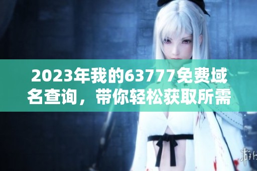 2023年我的63777免费域名查询，带你轻松获取所需信息