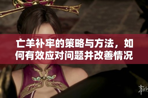 亡羊补牢的策略与方法，如何有效应对问题并改善情况