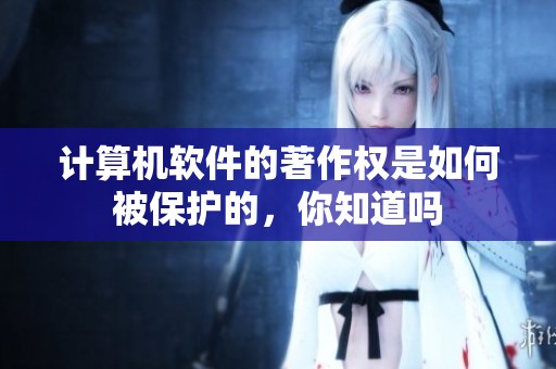 计算机软件的著作权是如何被保护的，你知道吗